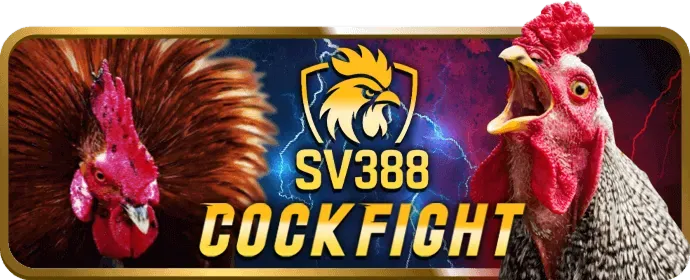 Tương lai phát triển của ONE888 WIN